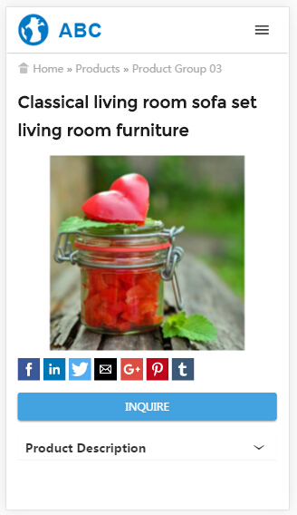 产品详情AMP页面.jpg 产品详情AMP页面.jpg